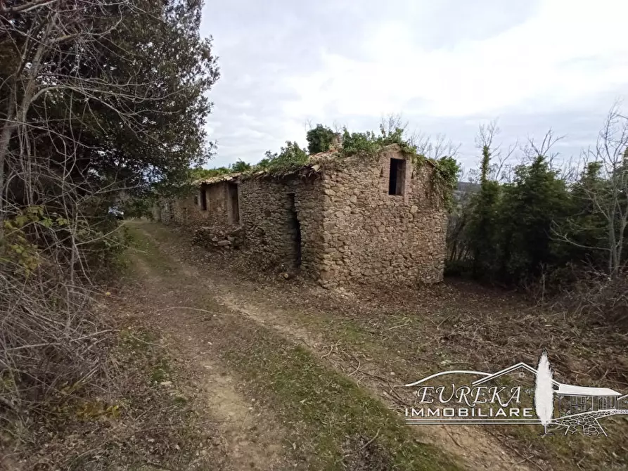 Immagine 37 di Agriturismo in vendita  in orvieto località capretta a Orvieto