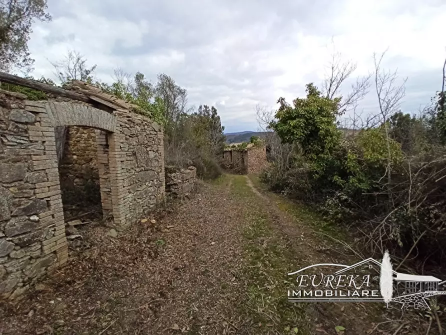 Immagine 38 di Agriturismo in vendita  in orvieto località capretta a Orvieto