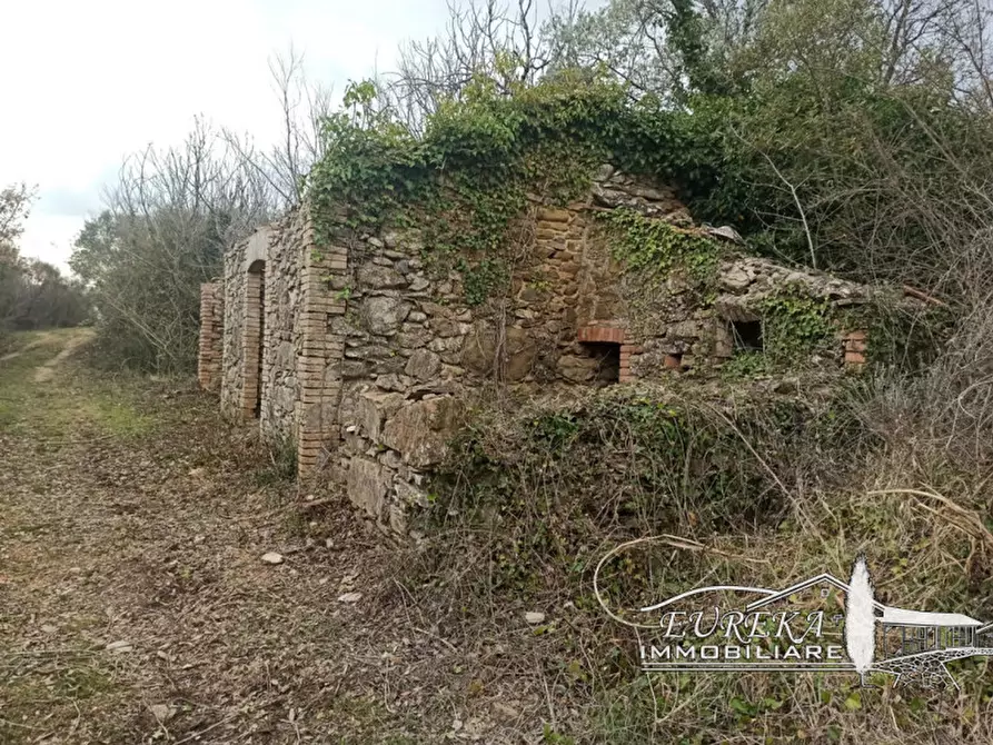 Immagine 39 di Agriturismo in vendita  in orvieto località capretta a Orvieto