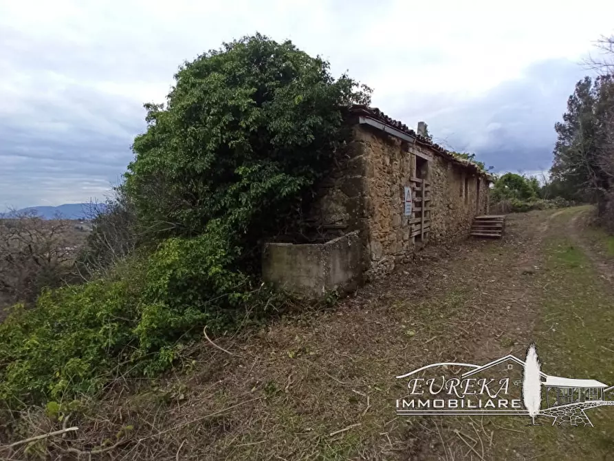 Immagine 40 di Agriturismo in vendita  in orvieto località capretta a Orvieto