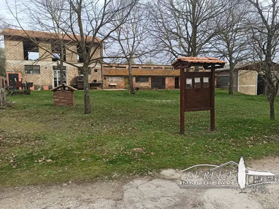 Immagine 41 di Agriturismo in vendita  in orvieto località capretta a Orvieto