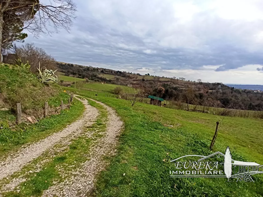 Immagine 42 di Agriturismo in vendita  in orvieto località capretta a Orvieto