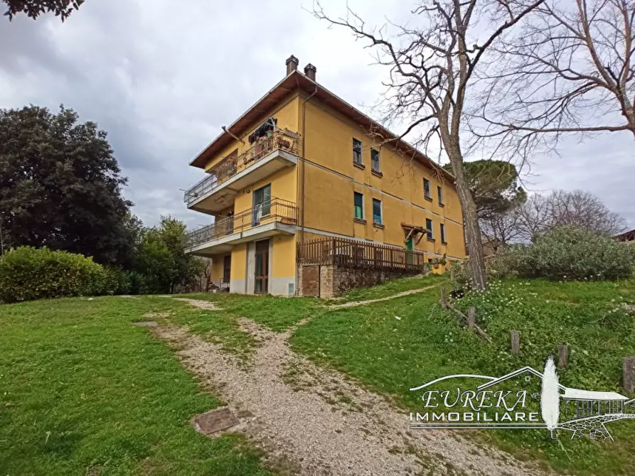 Immagine 43 di Agriturismo in vendita  in orvieto località capretta a Orvieto