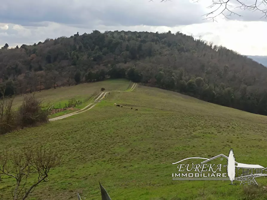 Immagine 44 di Agriturismo in vendita  in orvieto località capretta a Orvieto