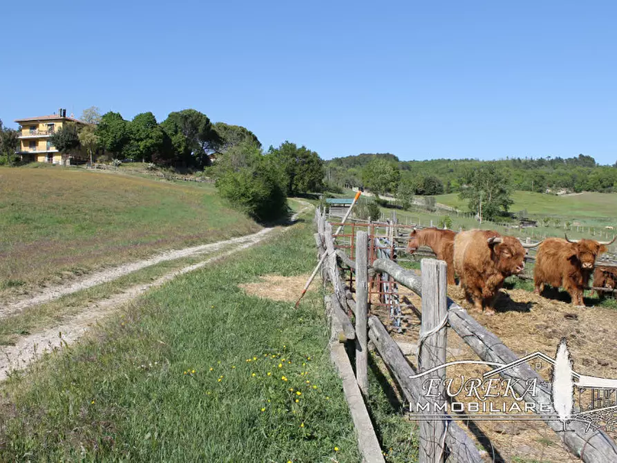Immagine 45 di Agriturismo in vendita  in orvieto località capretta a Orvieto