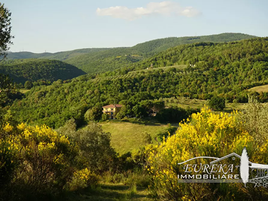 Immagine 46 di Agriturismo in vendita  in orvieto località capretta a Orvieto