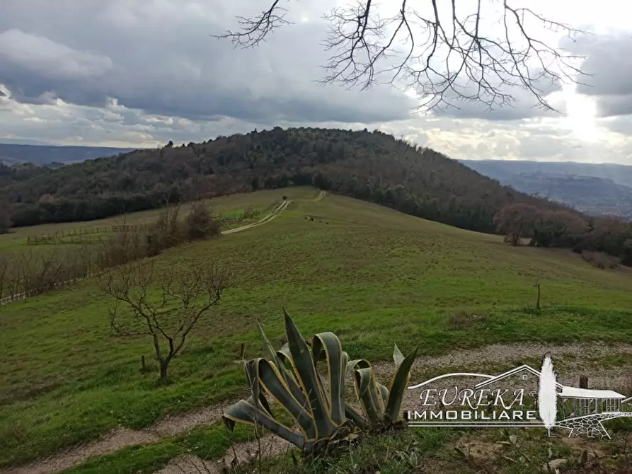 Immagine 47 di Agriturismo in vendita  in orvieto località capretta a Orvieto