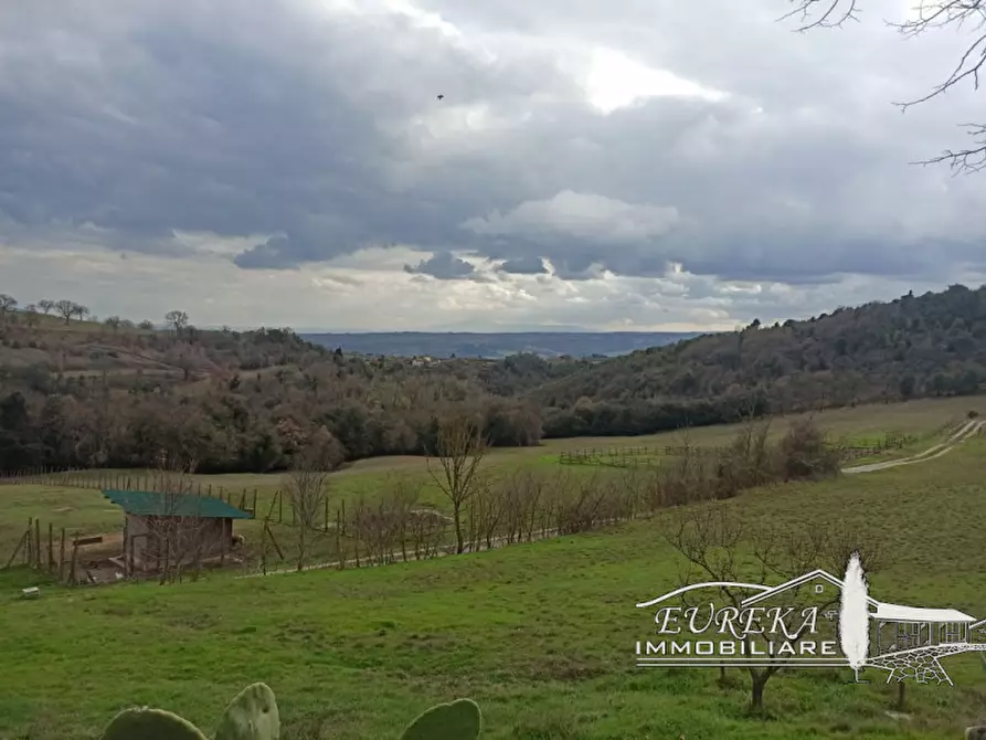 Immagine 48 di Agriturismo in vendita  in orvieto località capretta a Orvieto