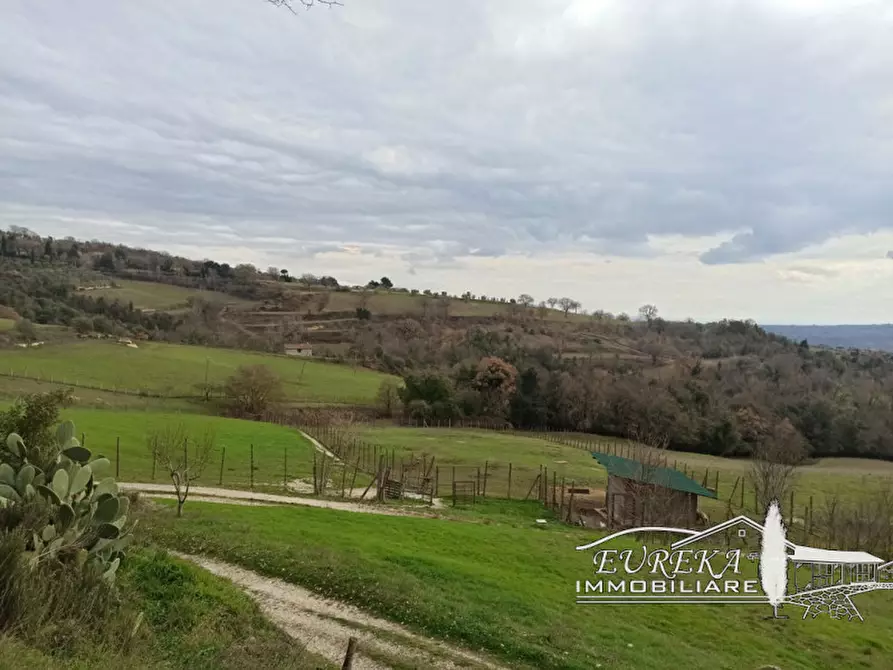 Immagine 49 di Agriturismo in vendita  in orvieto località capretta a Orvieto