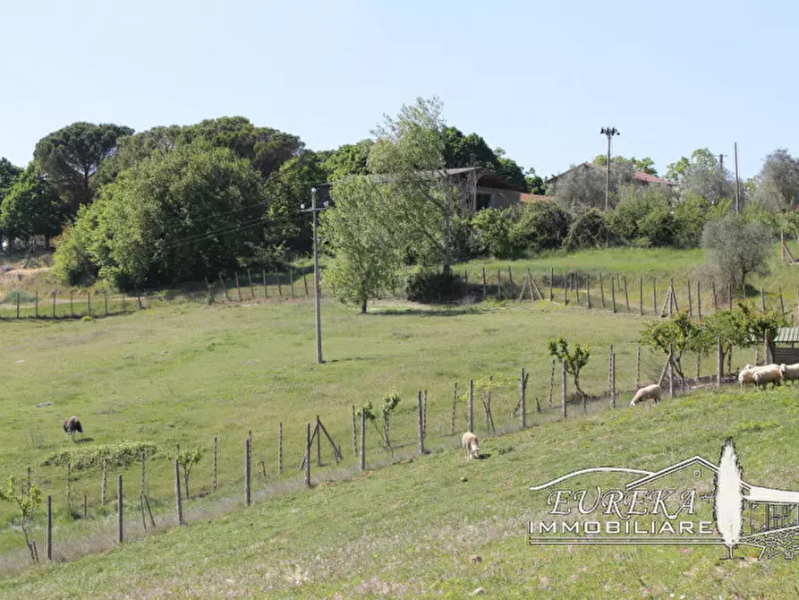 Immagine 50 di Agriturismo in vendita  in orvieto località capretta a Orvieto