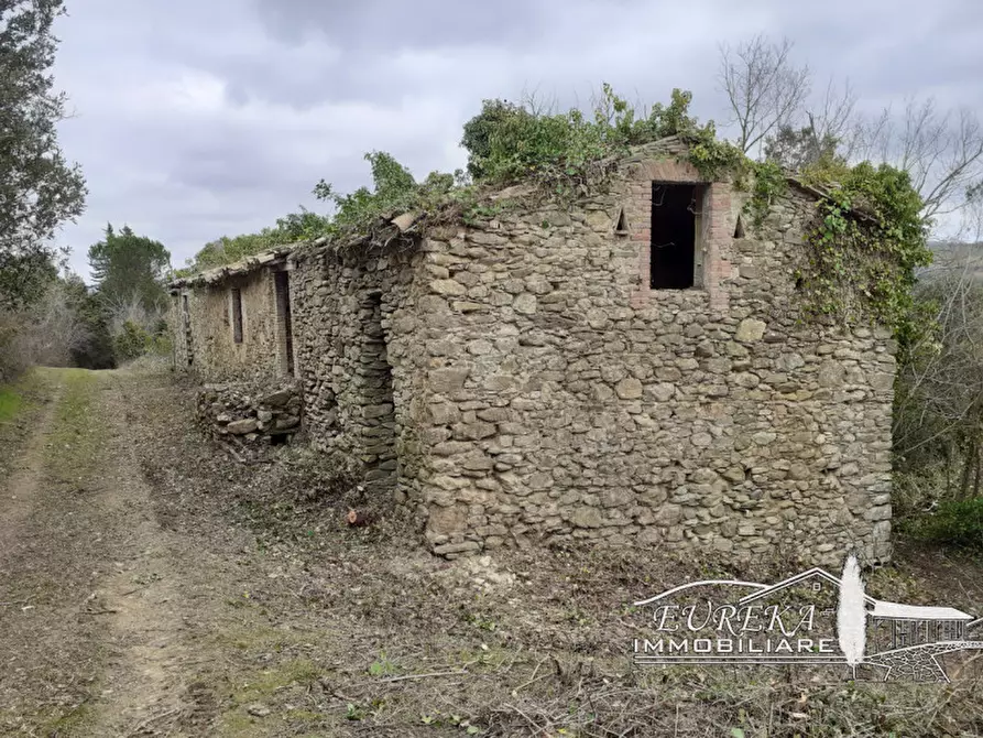 Immagine 51 di Agriturismo in vendita  in orvieto località capretta a Orvieto