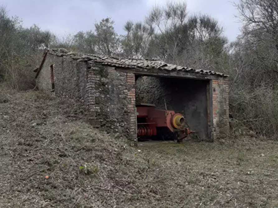 Immagine 53 di Agriturismo in vendita  in orvieto località capretta a Orvieto