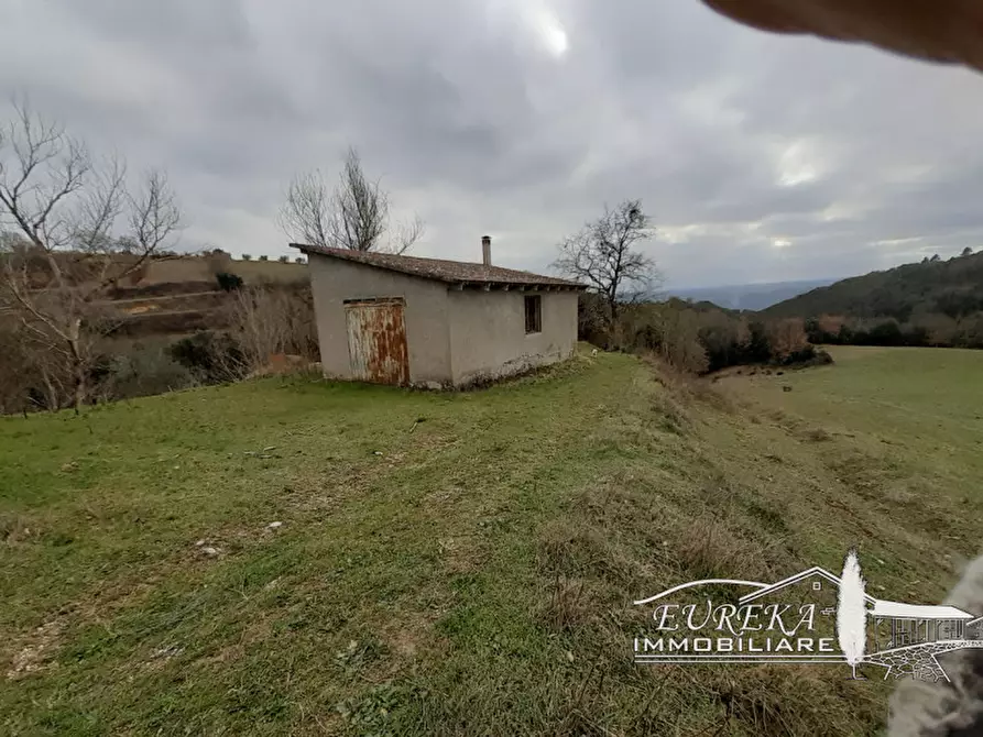 Immagine 54 di Agriturismo in vendita  in orvieto località capretta a Orvieto
