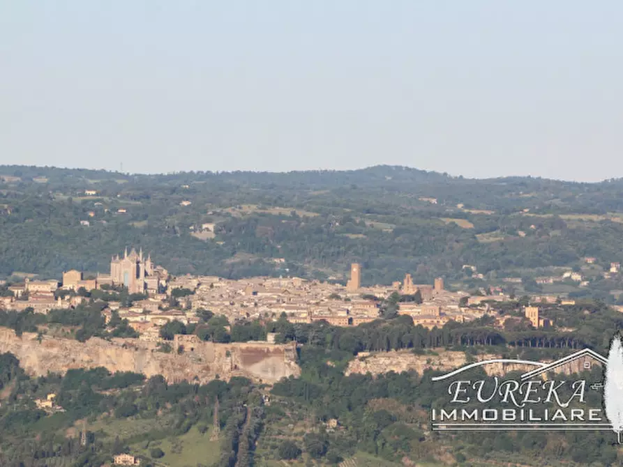 Immagine 55 di Agriturismo in vendita  in orvieto località capretta a Orvieto