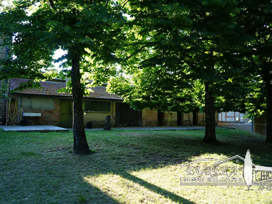 Immagine 56 di Agriturismo in vendita  in orvieto località capretta a Orvieto