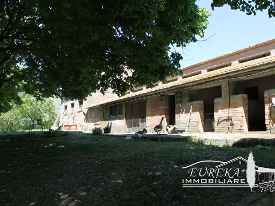 Immagine 57 di Agriturismo in vendita  in orvieto località capretta a Orvieto