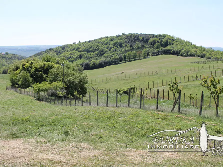 Immagine 59 di Agriturismo in vendita  in orvieto località capretta a Orvieto