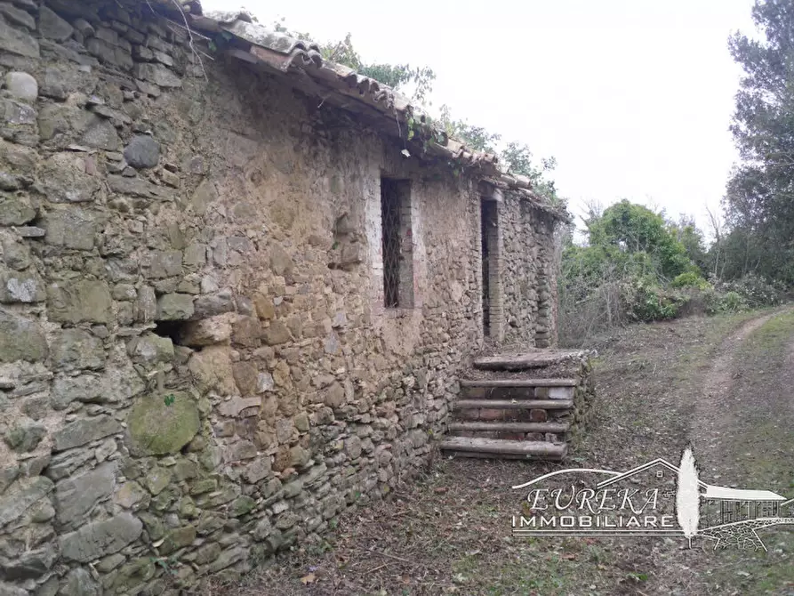 Immagine 60 di Agriturismo in vendita  in orvieto località capretta a Orvieto