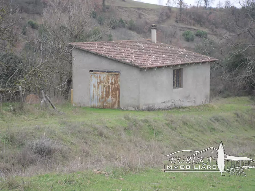 Immagine 61 di Agriturismo in vendita  in orvieto località capretta a Orvieto