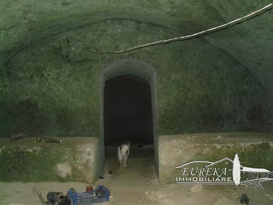 Immagine 62 di Agriturismo in vendita  in orvieto località capretta a Orvieto