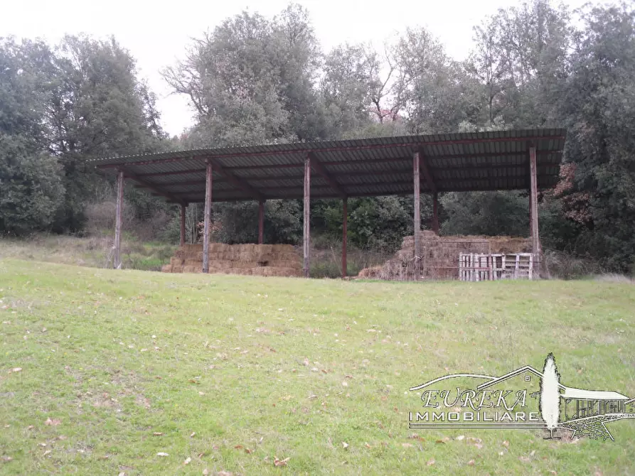 Immagine 63 di Agriturismo in vendita  in orvieto località capretta a Orvieto