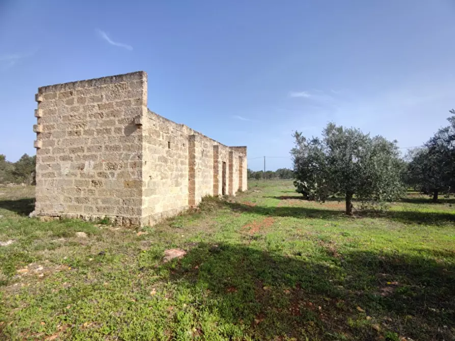 Immagine 1 di Villa in vendita  in via vecchia gallipoli 2 a Sannicola