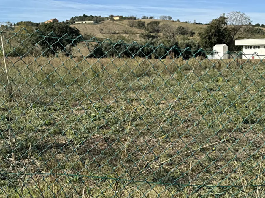 Immagine 1 di Terreno in vendita  in Strada dell'Alderana a Senigallia