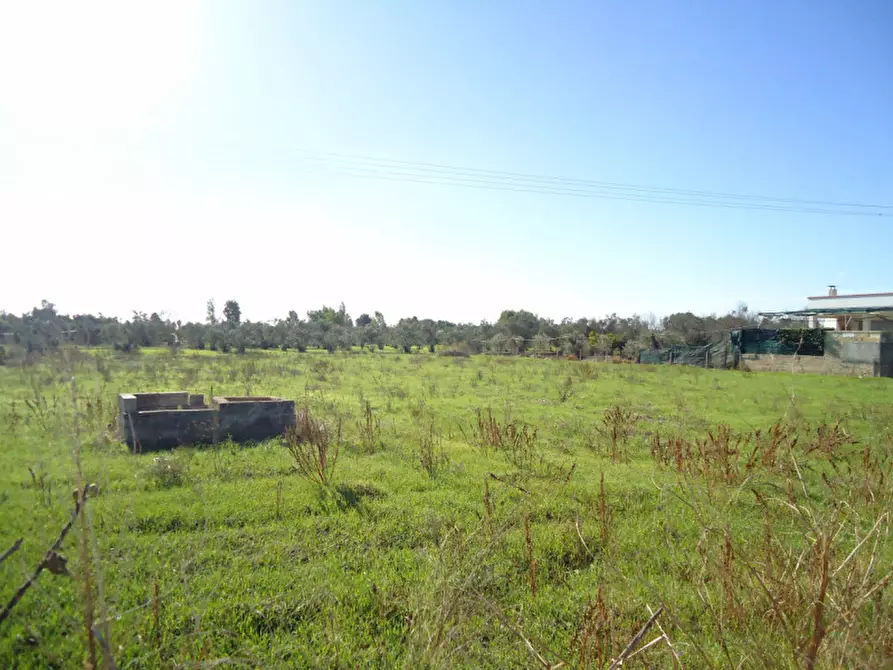 Immagine 1 di Terreno in vendita  in Contrada Calorì a Matino