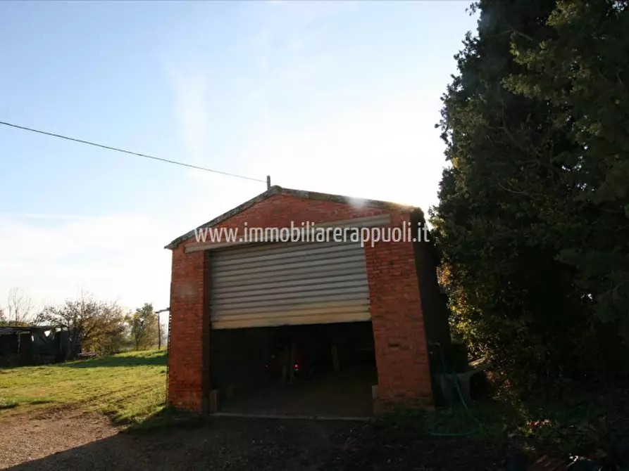 Immagine 3 di Rustico / casale in vendita  a Lucignano