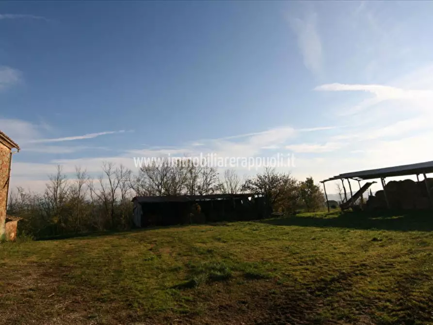 Immagine 5 di Rustico / casale in vendita  a Lucignano