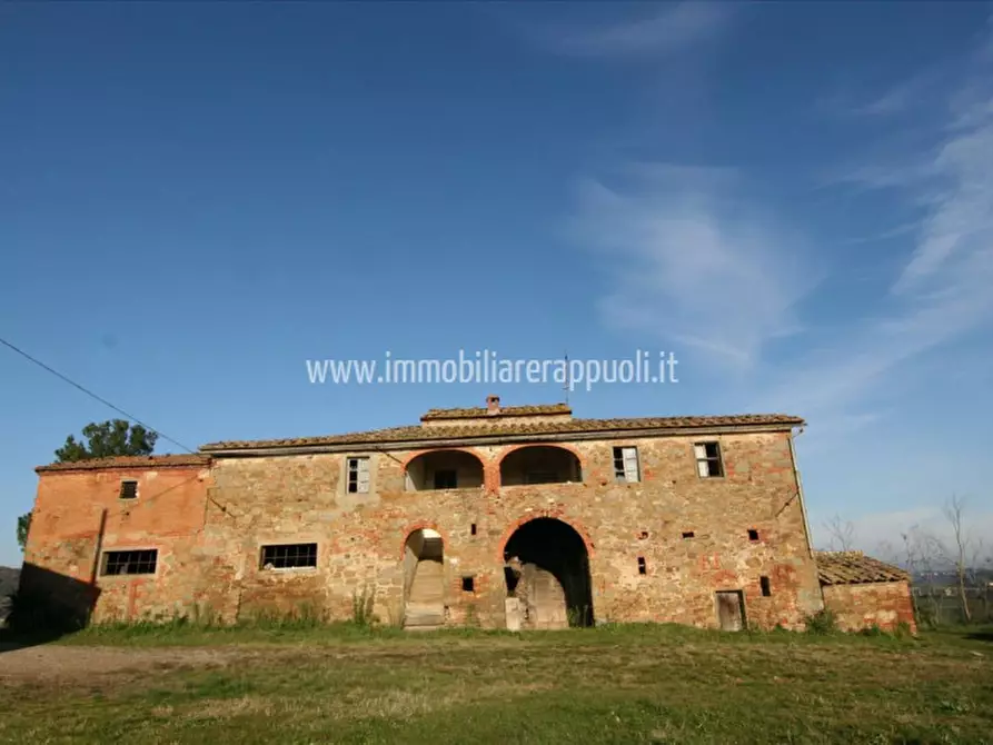 Immagine 6 di Rustico / casale in vendita  a Lucignano