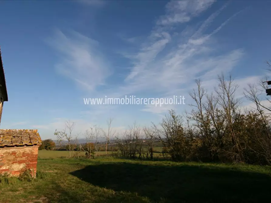 Immagine 7 di Rustico / casale in vendita  a Lucignano