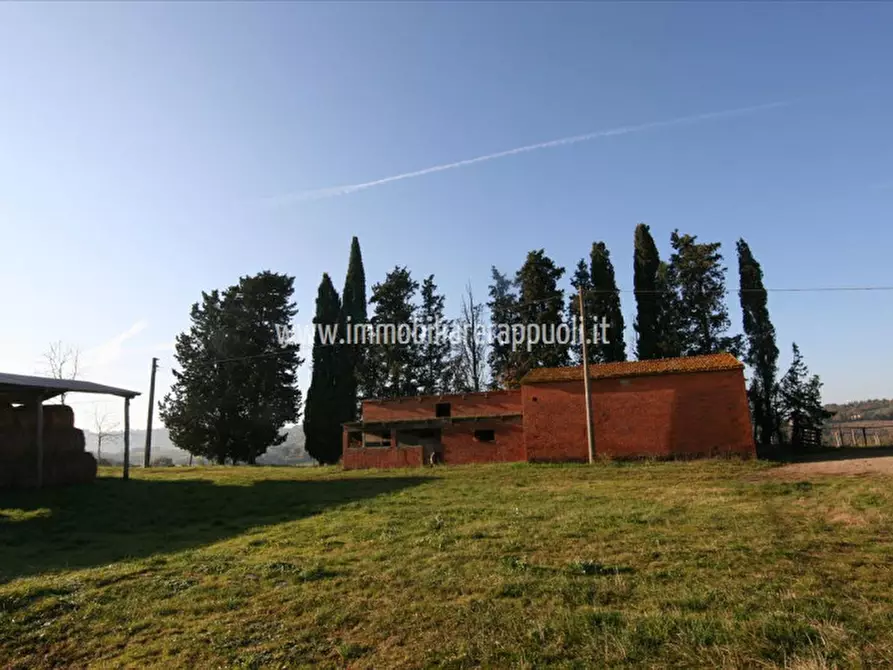 Immagine 8 di Rustico / casale in vendita  a Lucignano