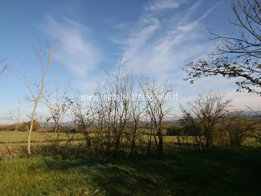 Immagine 11 di Rustico / casale in vendita  a Lucignano