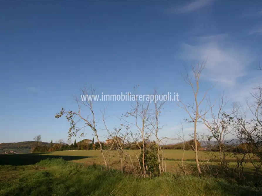 Immagine 12 di Rustico / casale in vendita  a Lucignano