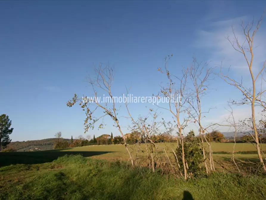 Immagine 14 di Rustico / casale in vendita  a Lucignano