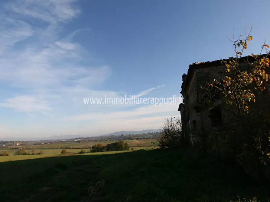Immagine 17 di Rustico / casale in vendita  a Lucignano