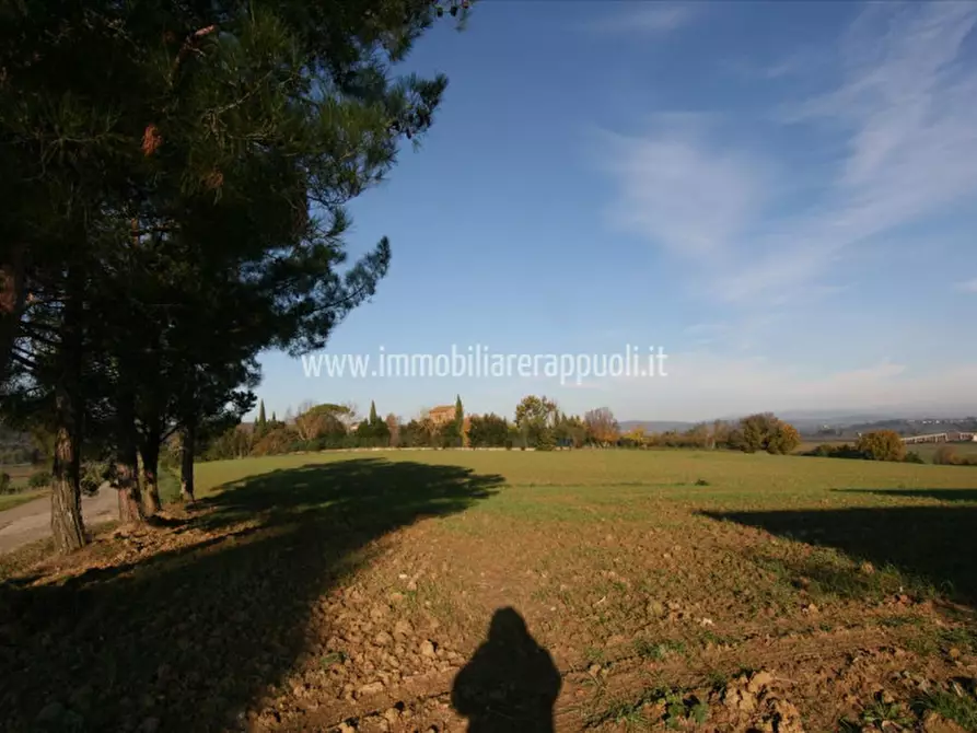 Immagine 18 di Rustico / casale in vendita  a Lucignano