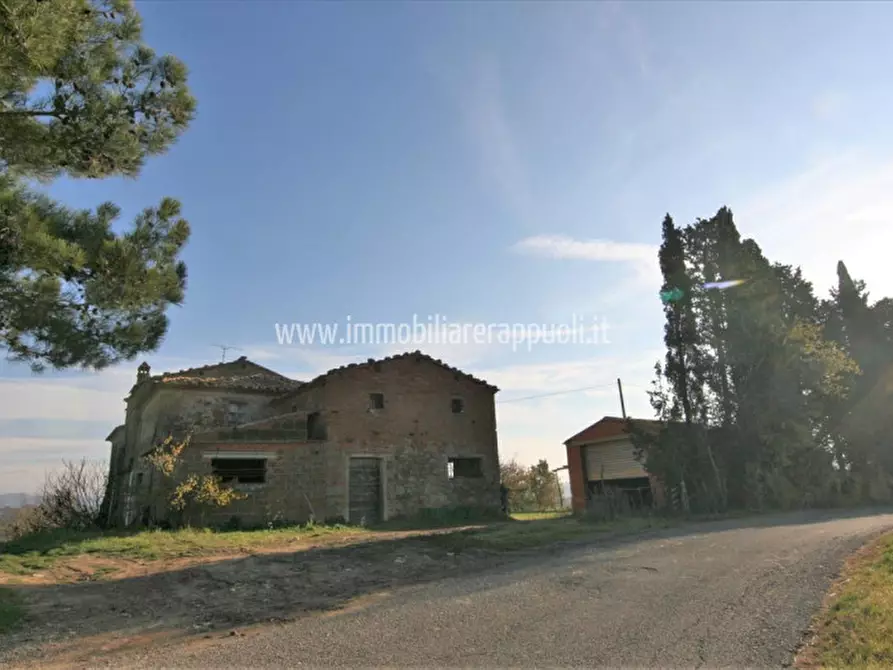 Immagine 19 di Rustico / casale in vendita  a Lucignano