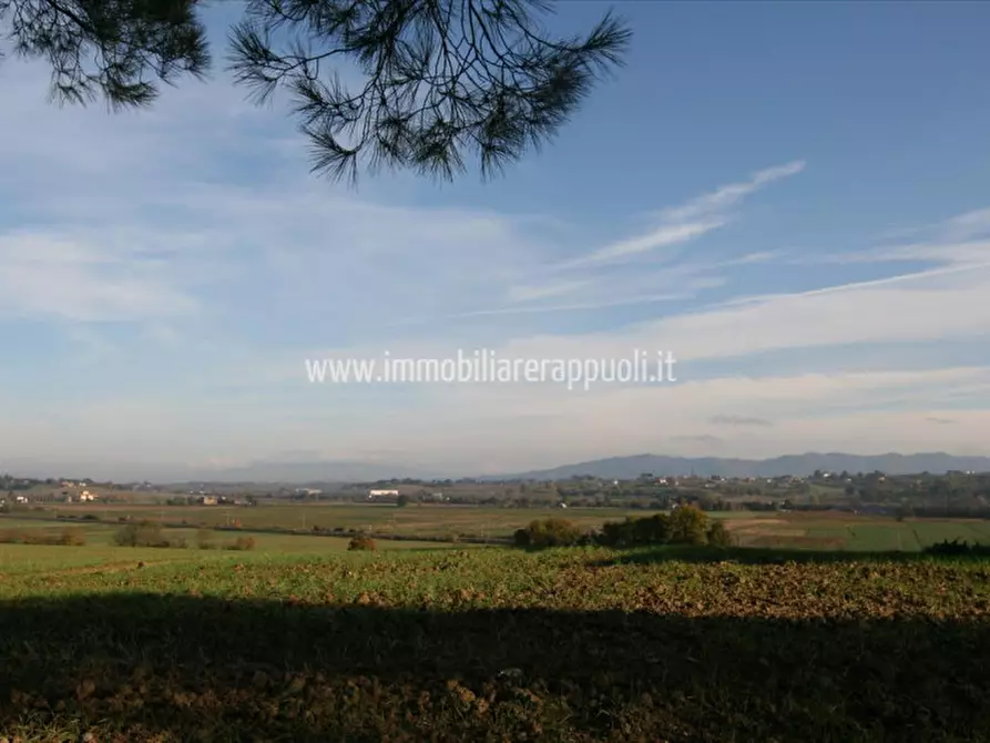 Immagine 20 di Rustico / casale in vendita  a Lucignano