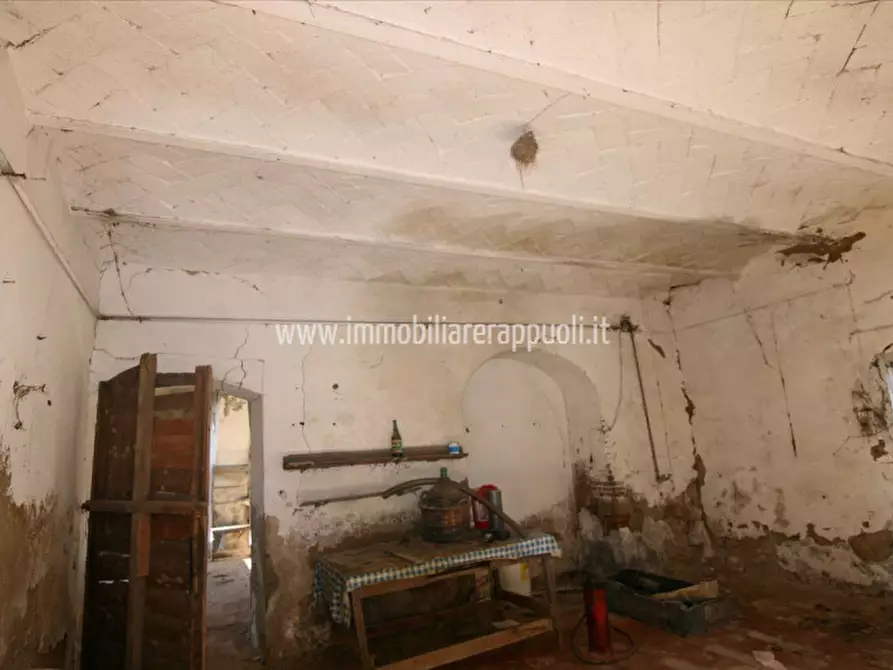 Immagine 22 di Rustico / casale in vendita  a Lucignano
