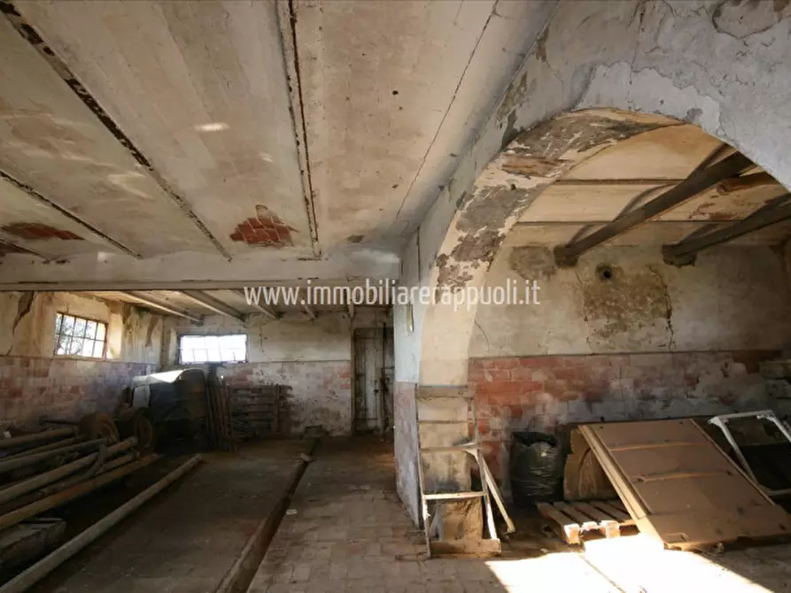 Immagine 23 di Rustico / casale in vendita  a Lucignano