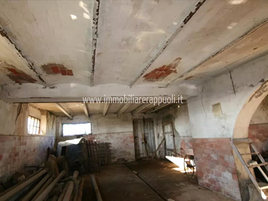 Immagine 25 di Rustico / casale in vendita  a Lucignano