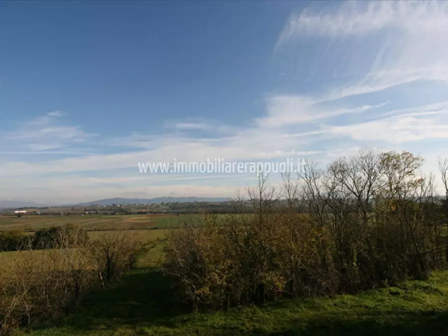 Immagine 33 di Rustico / casale in vendita  a Lucignano