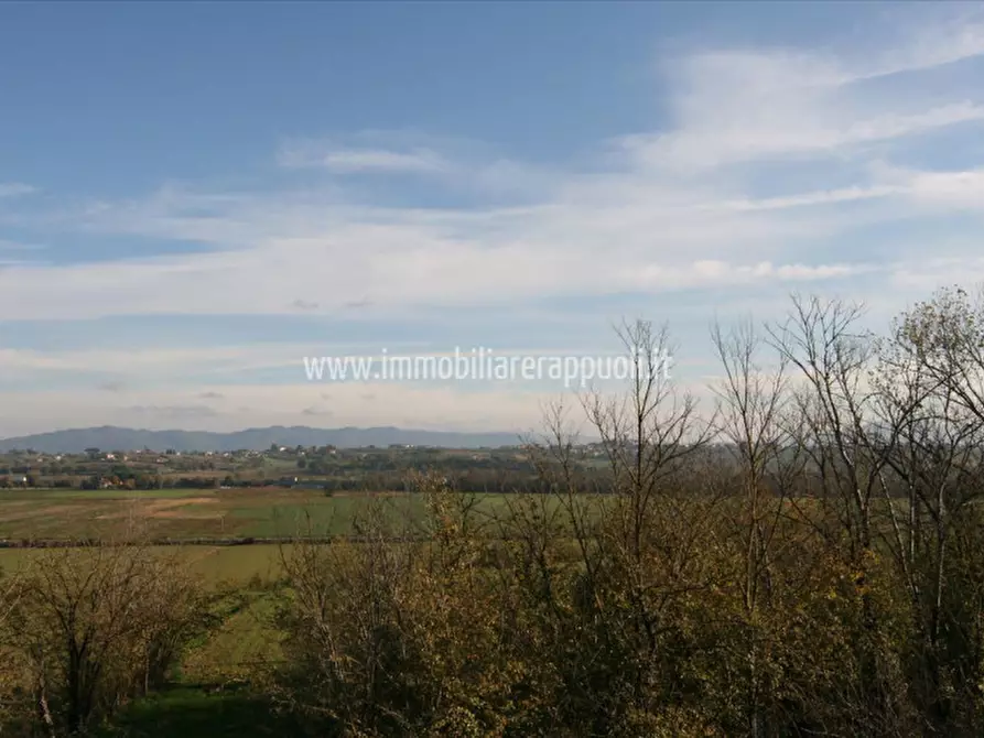 Immagine 34 di Rustico / casale in vendita  a Lucignano