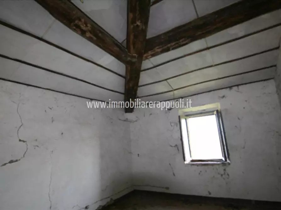Immagine 35 di Rustico / casale in vendita  a Lucignano