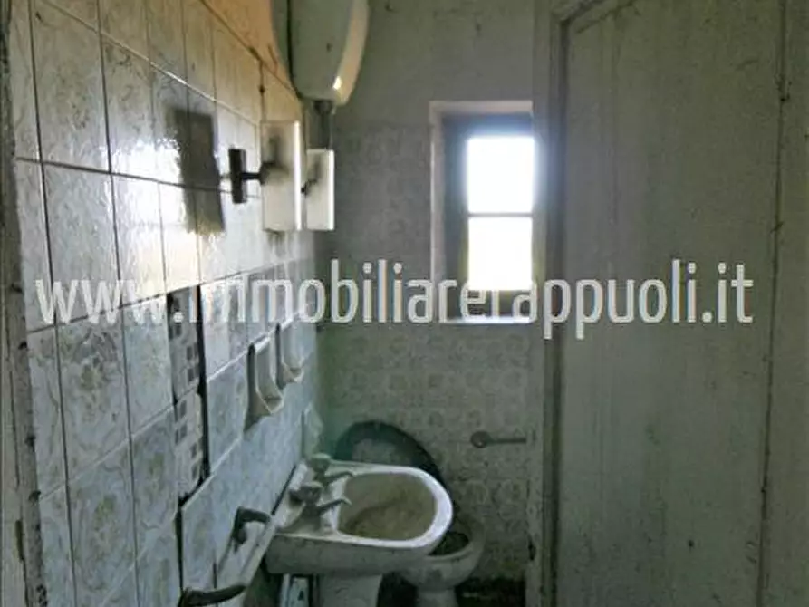 Immagine 36 di Rustico / casale in vendita  a Lucignano