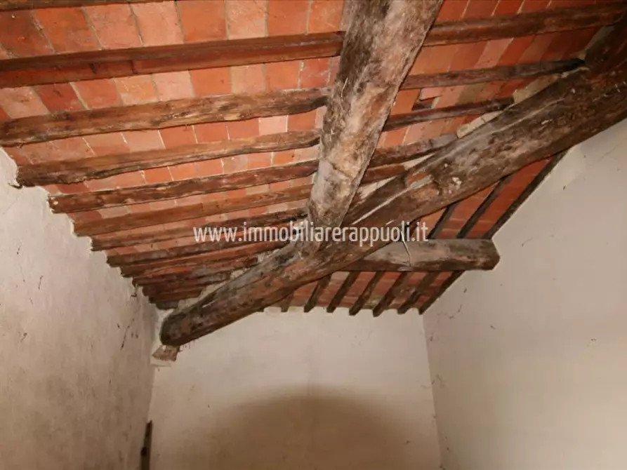 Immagine 38 di Rustico / casale in vendita  a Lucignano