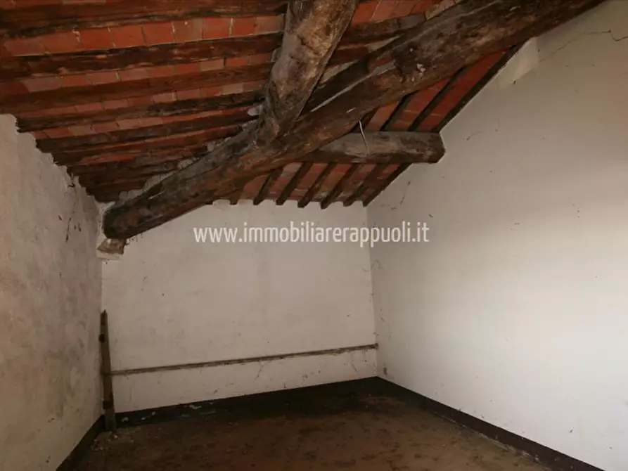Immagine 39 di Rustico / casale in vendita  a Lucignano