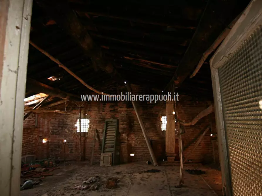 Immagine 40 di Rustico / casale in vendita  a Lucignano